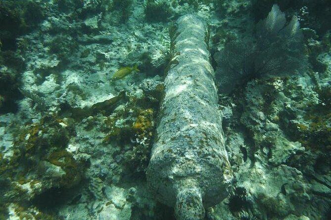 Incredible Negril Guided Snorkeling To Reef, Anchor, and Cannon - The Sum Up: Why This Snorkeling Tour Is a Solid Choice
