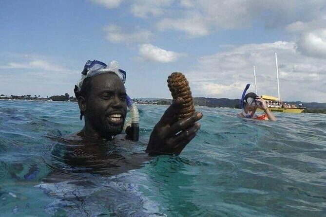 Incredible Negril Guided Snorkeling To Reef, Anchor, and Cannon - FAQ