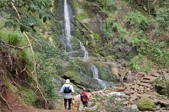 Incredible Table Mountain Guided Day Hike or Trail Run - Meeting Point and Schedule