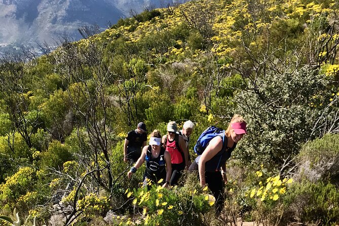 Incredible Table Mountain Guided Day Hike or Trail Run - Booking Details