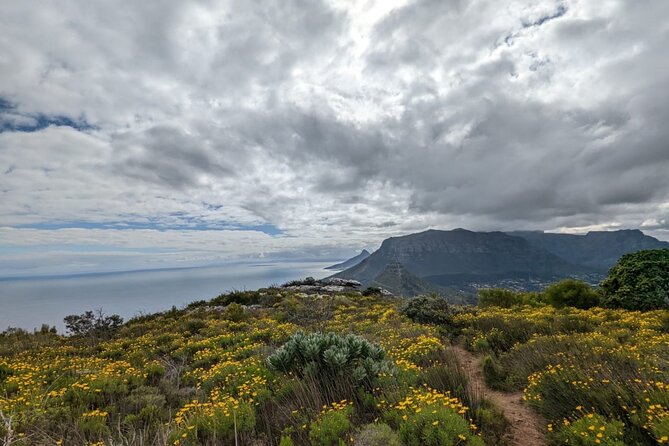 Incredible Table Mountain Guided Day Hike or Trail Run - Guided Expertise and Recommendations