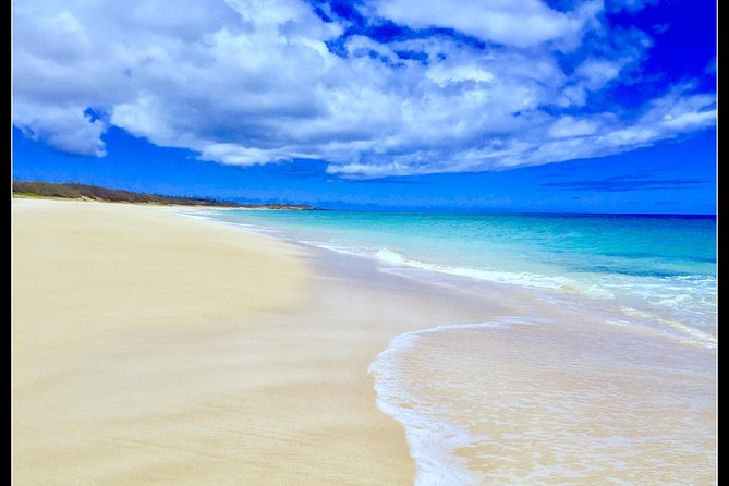 Incredible West Side Hidden Gems -Please CONTACT BEFORE BOOKING - Private Transportation and Pickup