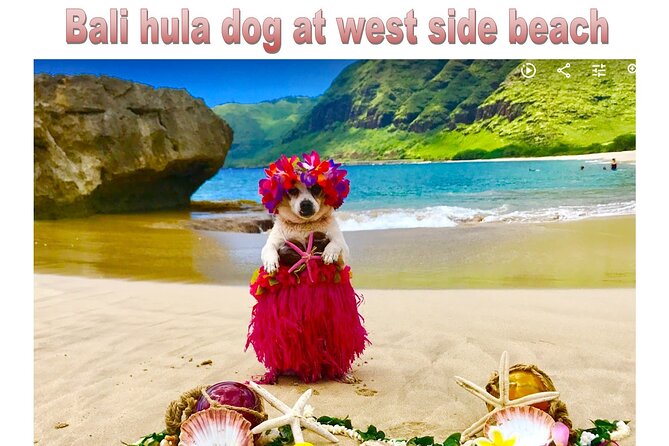 Incredible West Side Hidden Gems -Please CONTACT BEFORE BOOKING - Inclusions and Accessibility