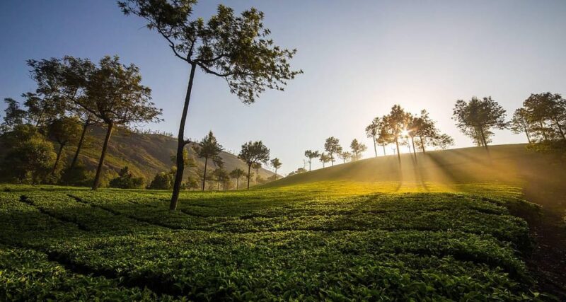 India by Car & Driver: 14 Days Tour of Classic South India ! - Key Points