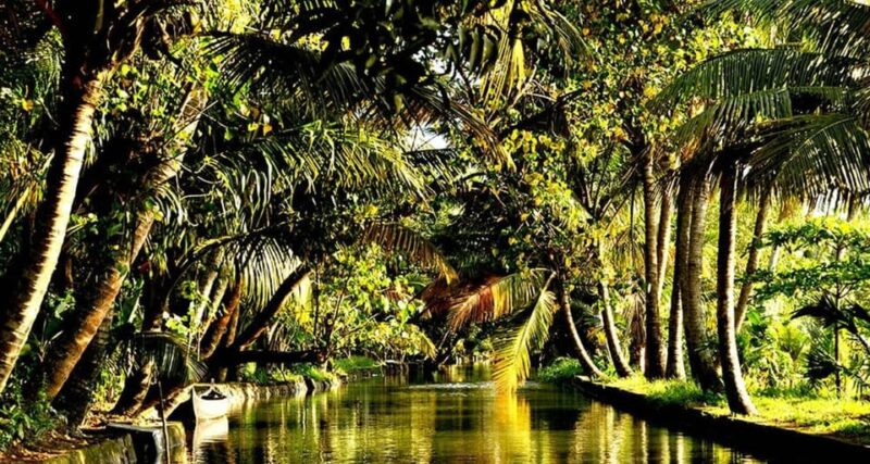 India by Car & Driver: 14 Days Tour of Classic South India ! - Travel Requirements and Recommendations
