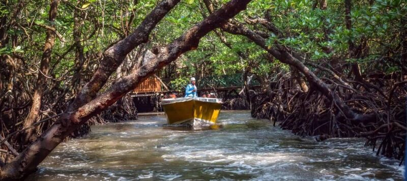 India:Andaman & Nicobar Islands: Havelock: Tour Packages - Itinerary Details