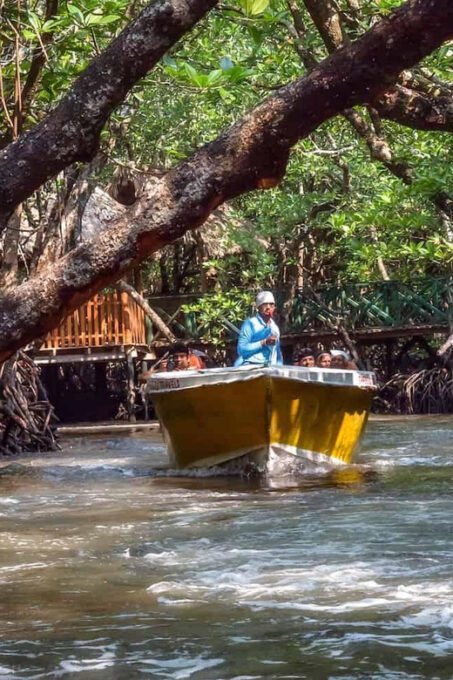 India:Andaman & Nicobar Islands: Havelock: Tour Packages - Frequently Asked Questions