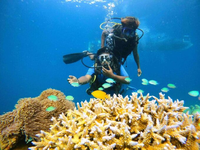 India:Andaman & Nicobar Islands: Havelock: Tour Packages - Recap