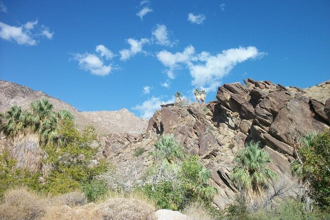 Indian Canyons Walking Tour by Jeep From Palm Desert - Inclusions