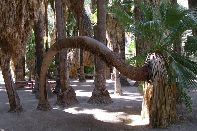 Indian Canyons Walking Tour by Jeep From Palm Desert - Group Size and Duration