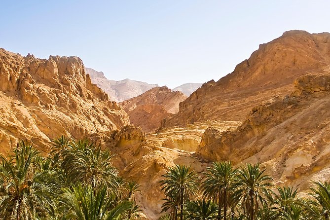 Indian Canyons Walking Tour by Jeep From Palm Springs - Included and Excluded