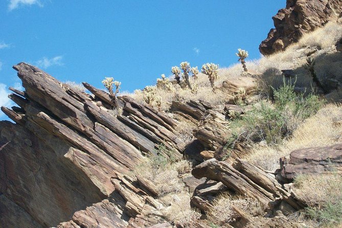Indian Canyons Walking Tour by Jeep From Palm Springs - Tour Details