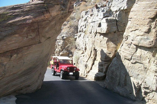Indian Canyons Walking Tour by Jeep From Palm Springs - Reviews
