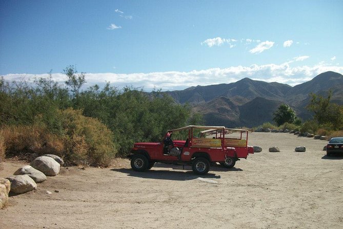 Indian Canyons Walking Tour by Jeep From Palm Springs - Desert Flora and Views