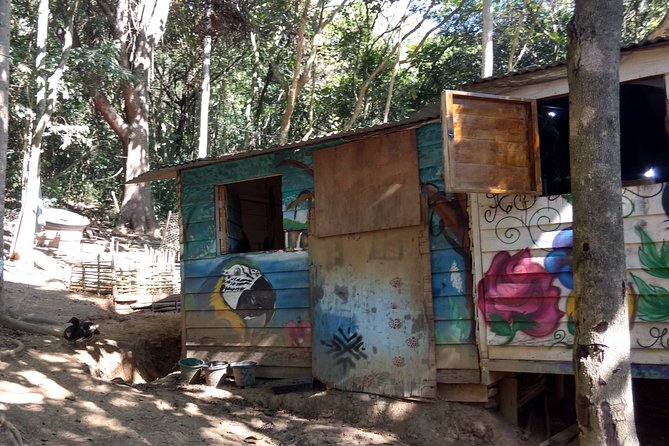 Indigenous Guarani Jaragua Experience - Highlights of the Tour