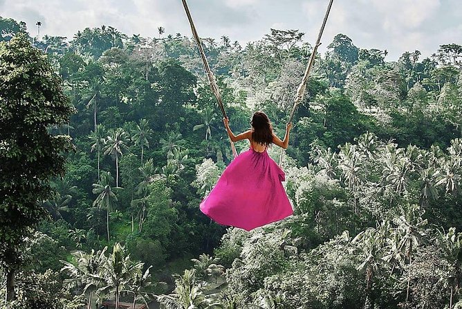 Individual Bali Day Trip With Private Driver and Free Wifi - Customizable Destinations