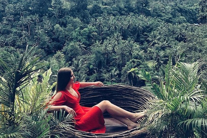 Individual Bali Day Trip With Private Driver and Free Wifi - Tour Details