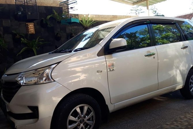 Individual Bali Day Trip With Private Driver and Free Wifi - Inclusions