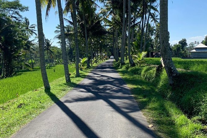 Individual Bali Day Trip With Private Driver and Free Wifi - Transportation and Convenience