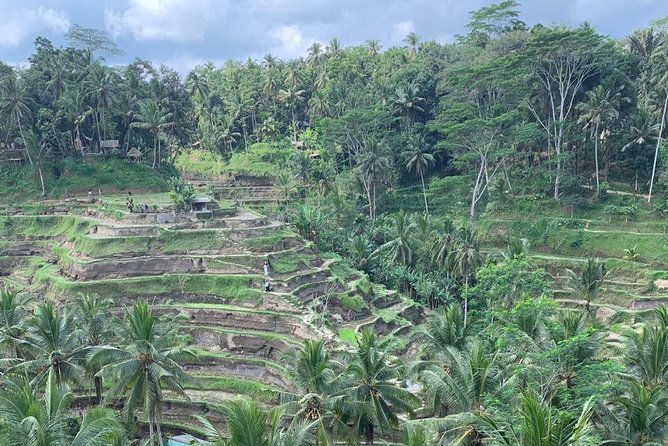 Individual Bali Day Trip With Private Driver and Free Wifi - Additional Information