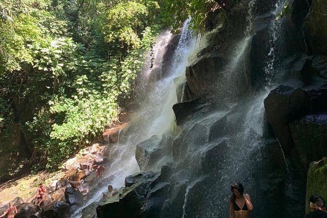 Individual Bali Day Trip With Private Driver and Free Wifi - Booking Confirmation