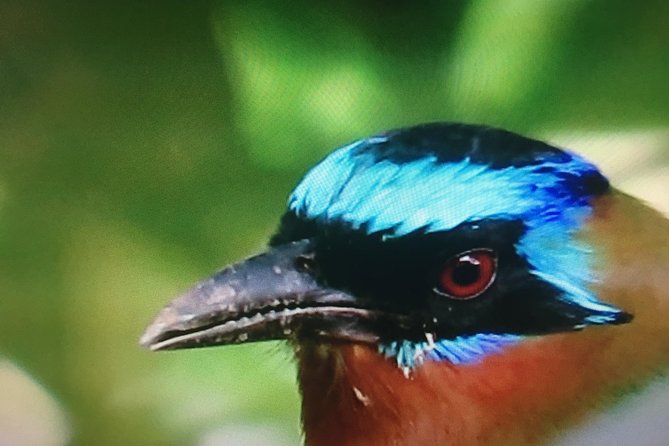 Individual Rainforest Tour - Guest Reviews