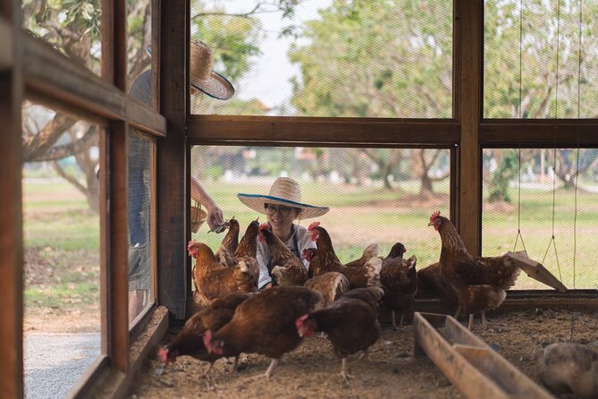 Indulge in Authentic Thai Flavors and Serene Organic Farm (Full Day Course) - Transportation and Accessibility