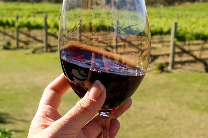 Indulgence Wine Tasting With Matched Tapas for 2 - Canberra - Key Points