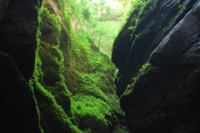 Infernet Sport Canyoning in Chartreuse - Grenoble - Group Size and Pricing