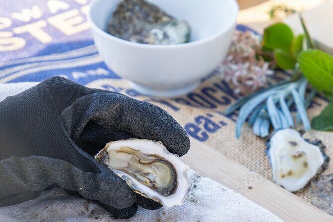 Informative Oyster Activity: Handling, Shucking & Storing + Kayaking - Authenticity and Authentic Experiences