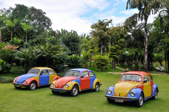 Inhotim - One of the Largest Open Air Museums in the World - Planning Your Inhotim Visit