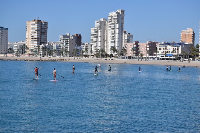 Initiation or Journey in Stand up Paddle (Sup) in El Campello (Alicante) - Overview of the Activity