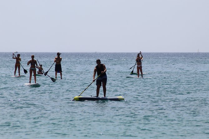 Initiation or Journey in Stand up Paddle (Sup) in El Campello (Alicante) - Cancellation Policy and Refunds