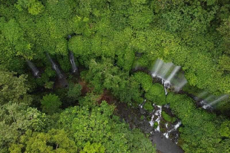Inland Waterfalls - Highlights