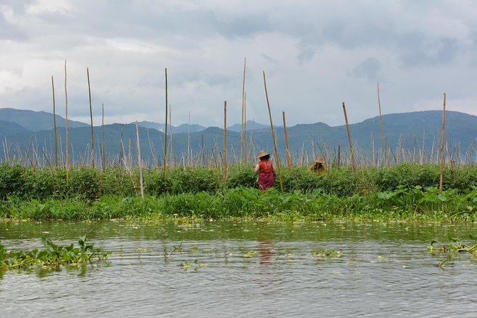 Inle Lake Full-Day Tour With Boat Trip and Lunch - Exploring Floating Gardens