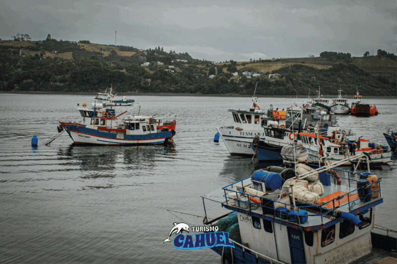 Inner Coast of Chiloé: Road and Sea. - Customer Reviews