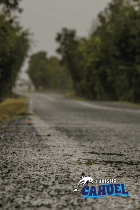 Inner Coast of Chiloé: Road and Sea. - Frequently Asked Questions