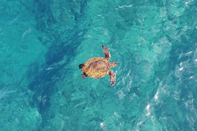 Inner Reef Explorer - 30 Minute Reef Scenic Flight - Cancellation and Booking Policies