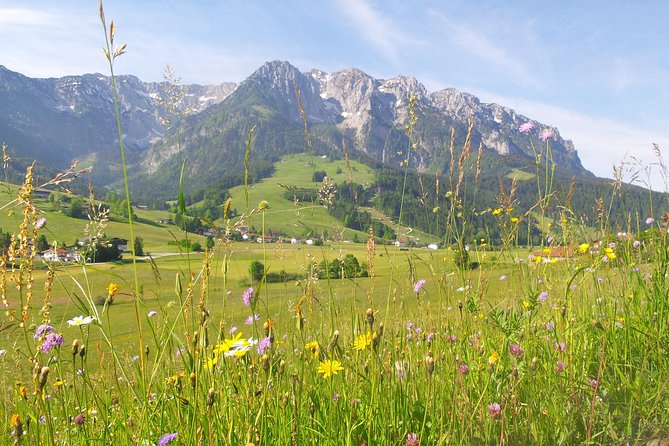 Innsbruck and Swarovski Crystal World Private Tour From Salzburg - Traveler Information