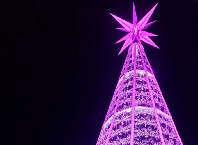 Innsbruck: Christmas Tour With a Licensed Guide - Wheelchair Accessible Tour