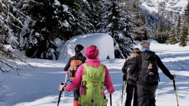 Innsbruck: Private Guided Snowy Mountain Hike/Snowshoes - Key Points