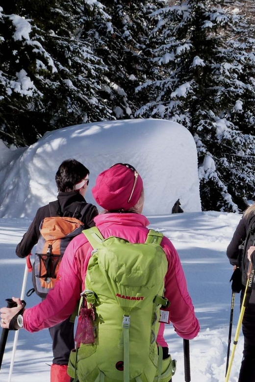 Innsbruck: Private Guided Snowy Mountain Hike/Snowshoes - Inclusions
