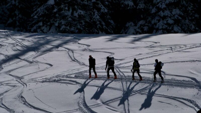 Innsbruck: Private Guided Snowy Mountain Hike/Snowshoes - Tailored to Fitness