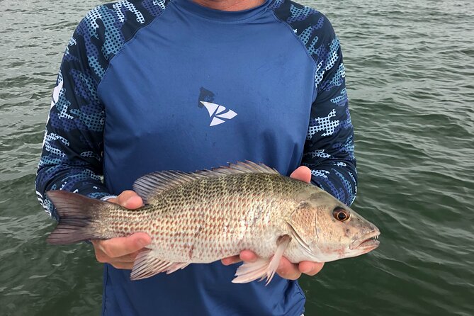 Inshore Fishing by Charter in Sarasota - Target Species and Fishing Opportunities