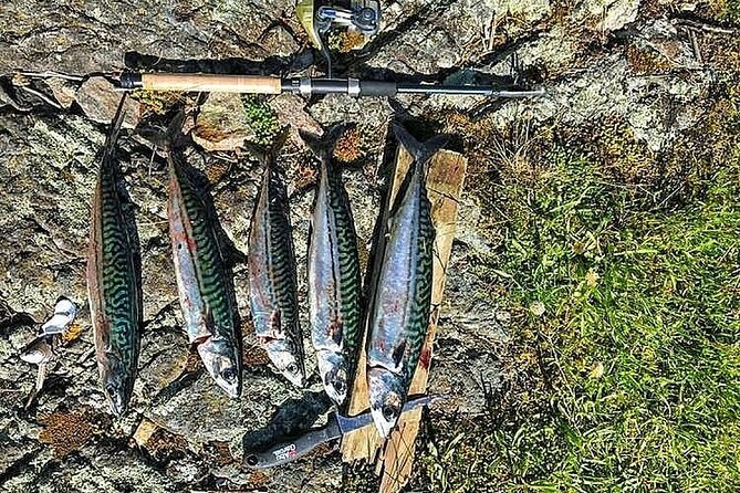 Inshore Fishing in the Drangefjord - Expectations for the Fishing Adventure