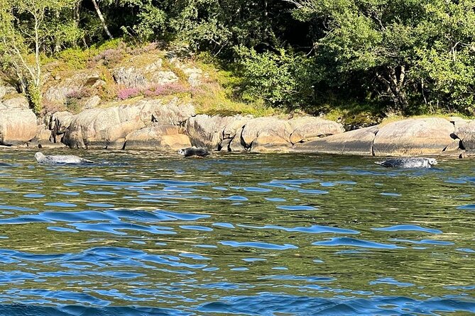 Inshore Fishing in the Drangefjord - Exceptional Customer Ratings and Reviews