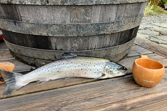 Inshore Fishing in the Drangefjord - Highlights of the Inshore Fishing Journey