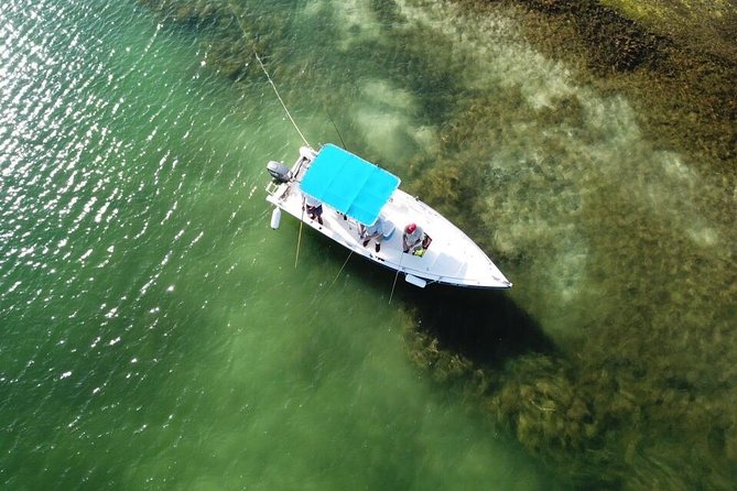 Inshore & Fly Fishing Punta Cana Private Charter at Marina Cap Cana - Pricing and Included Amenities