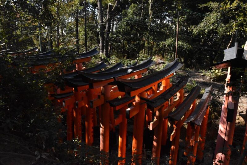 Inside of Fushimi Inari - Exploring and Lunch With Locals - Exploring Inside Inari Shrine