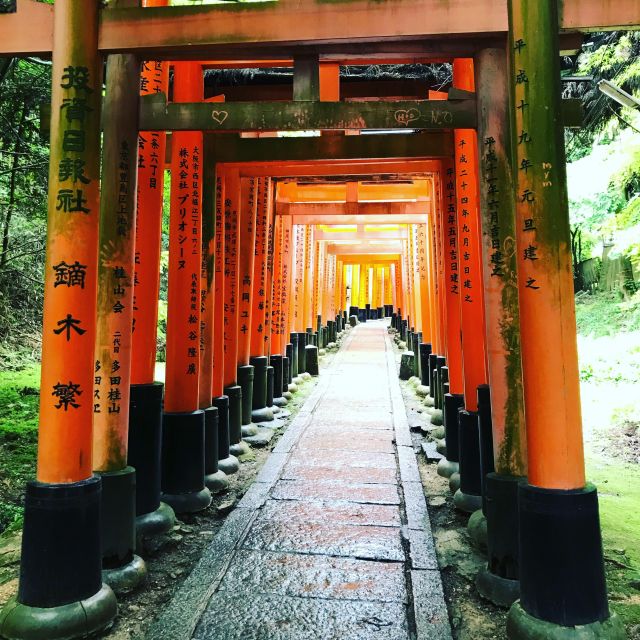 Inside of Fushimi Inari - Exploring and Lunch With Locals - Frequently Asked Questions